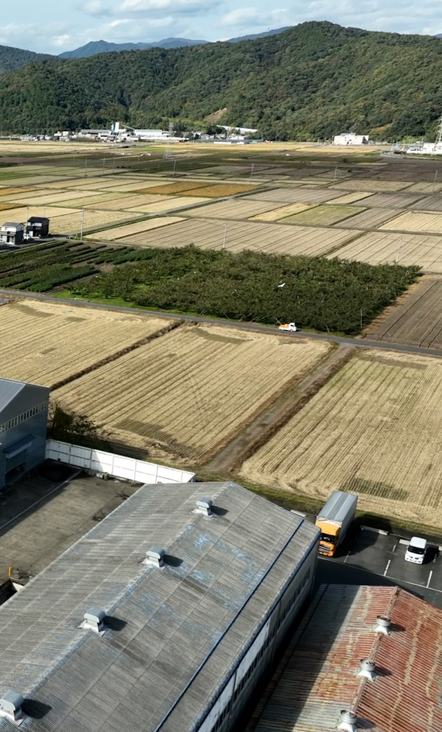 ひでぴょんグループ│シート加工・点字印刷やサイン看板の製造